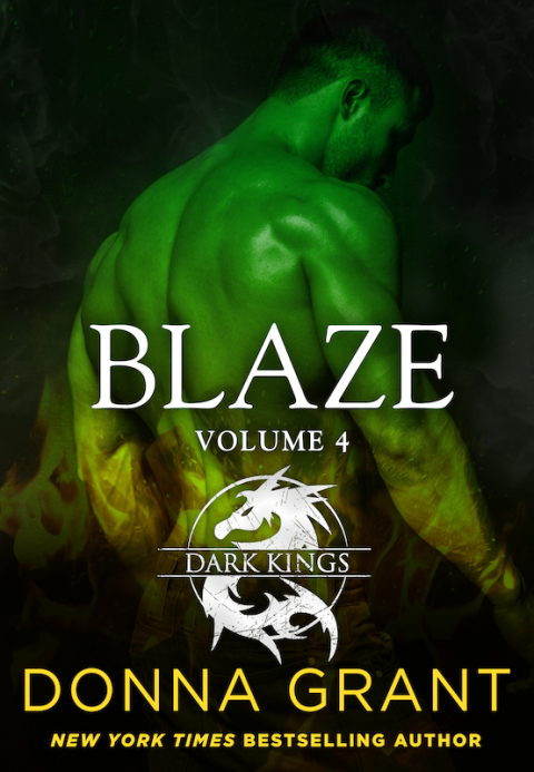 Cover image for book Blaze: Volume 4