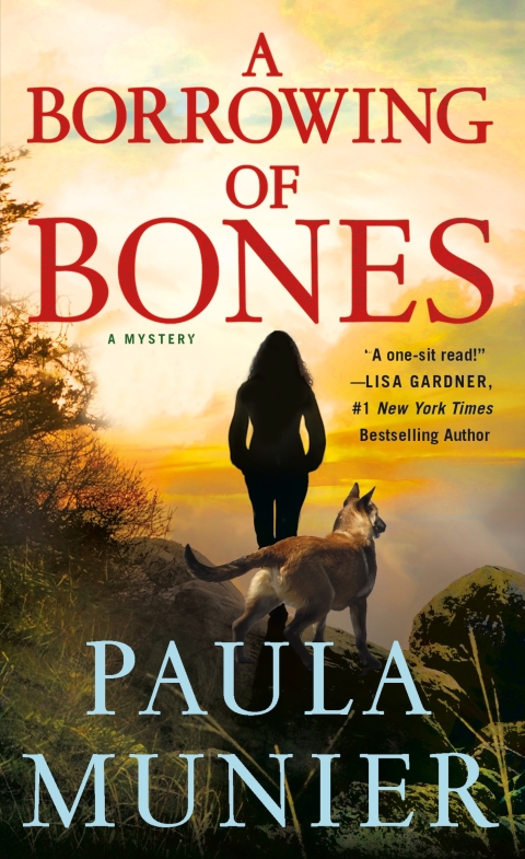 Cover image for book A Borrowing of Bones