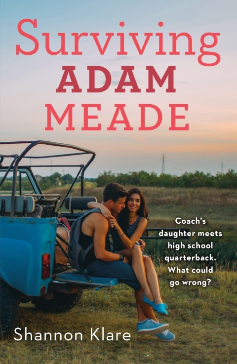 Cover image for book Surviving Adam Meade