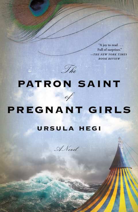 Cover image for book The Patron Saint of Pregnant Girls