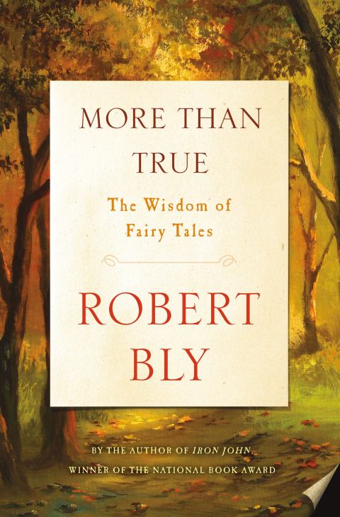 Cover image for book More Than True