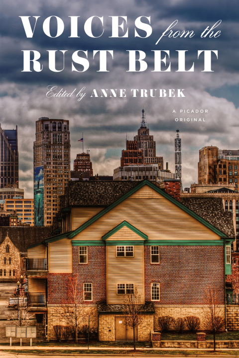 Cover image for book Voices from the Rust Belt