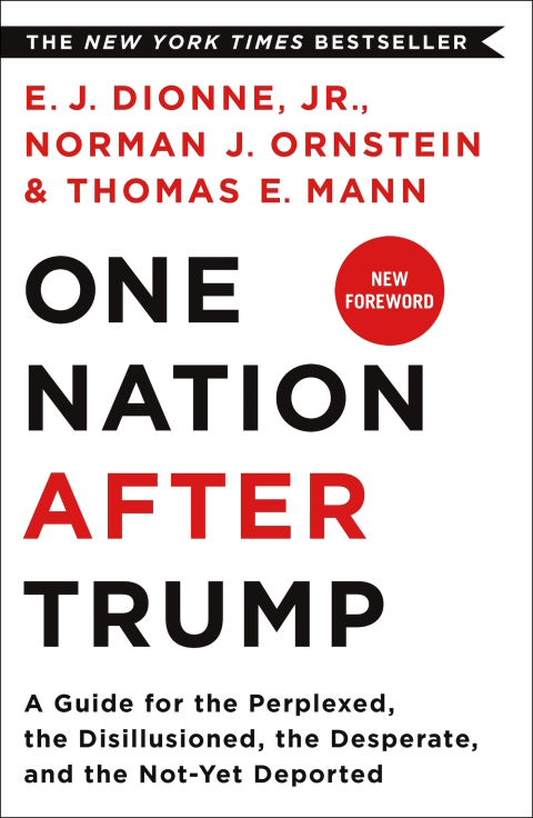 Cover image for book One Nation After Trump