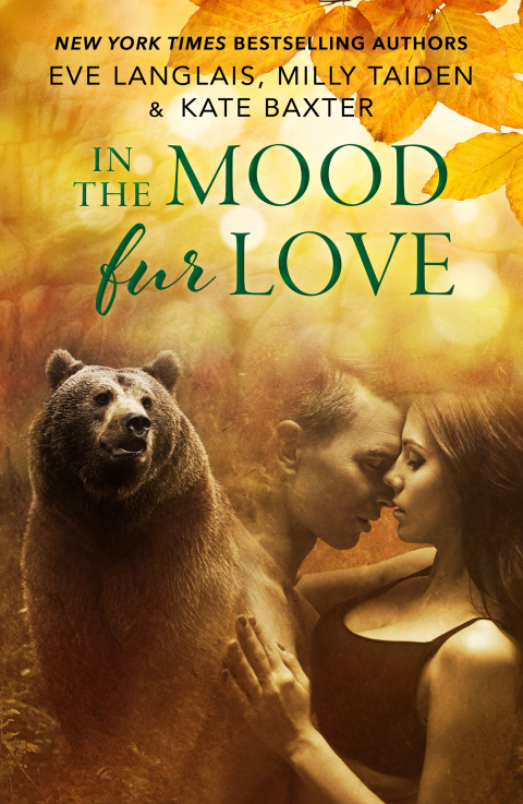 Cover image for book In the Mood Fur Love