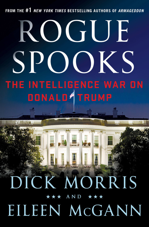 Cover image for book Rogue Spooks