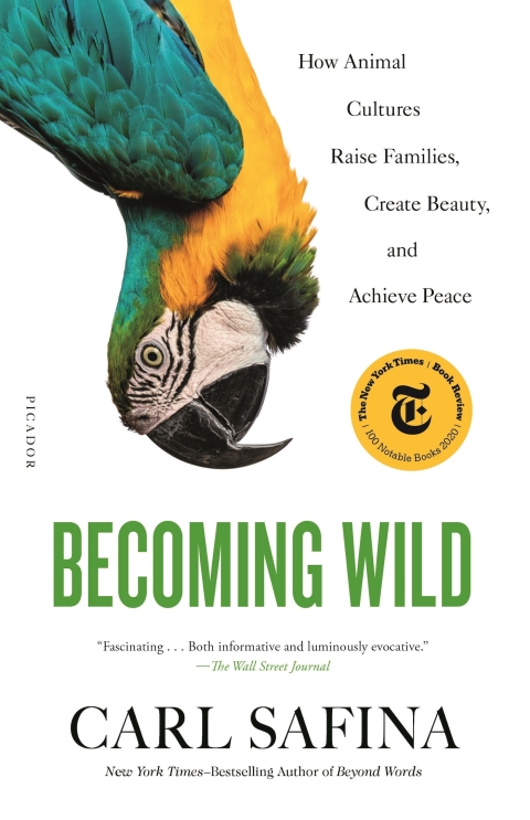 Cover image for book Becoming Wild