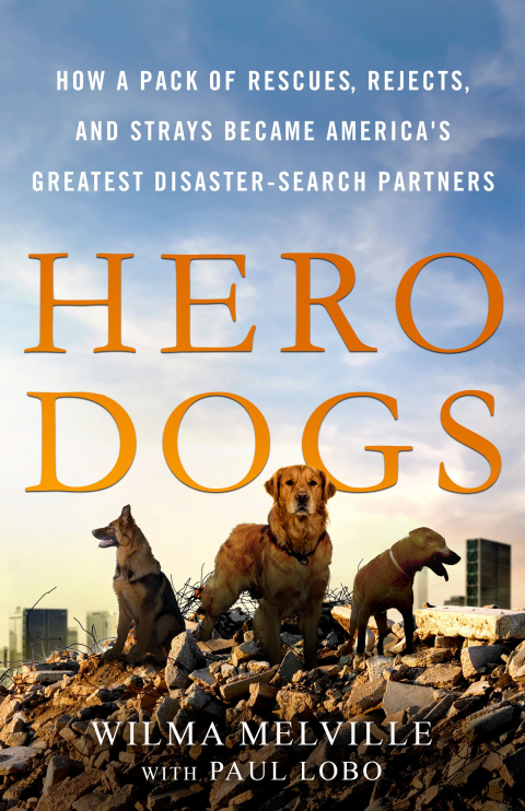 Cover image for book Hero Dogs