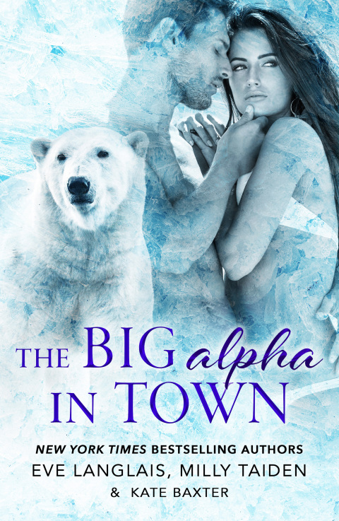 Cover image for book The Big Alpha in Town
