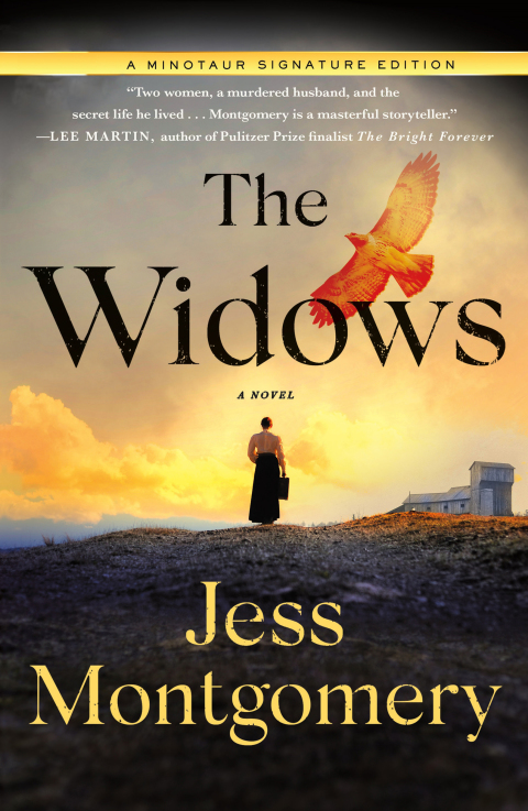 Cover image for book The Widows
