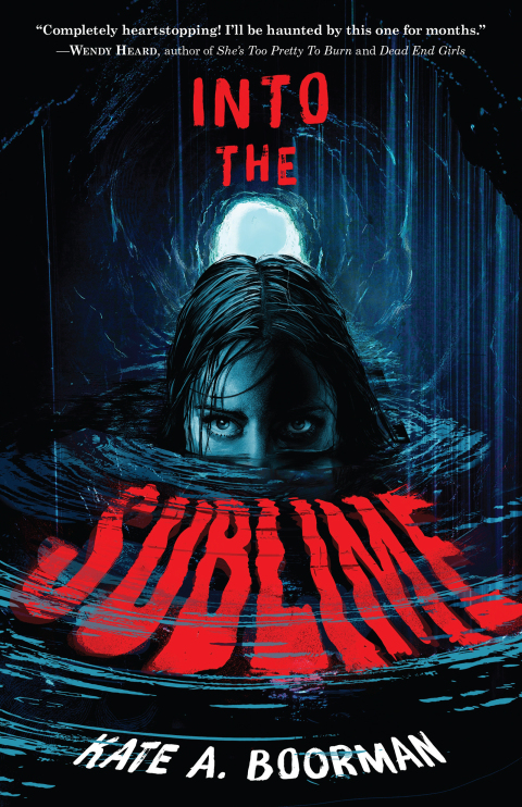 Cover image for book Into the Sublime