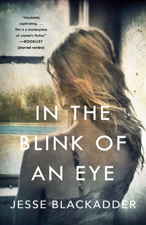 Cover image for book In the Blink of an Eye