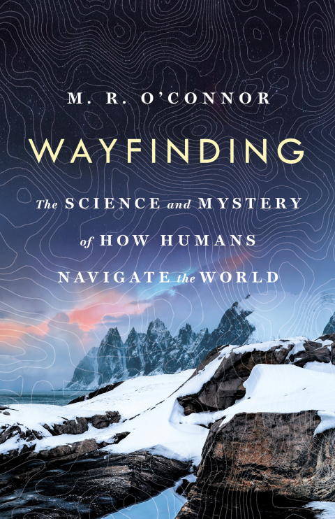 Cover image for book Wayfinding