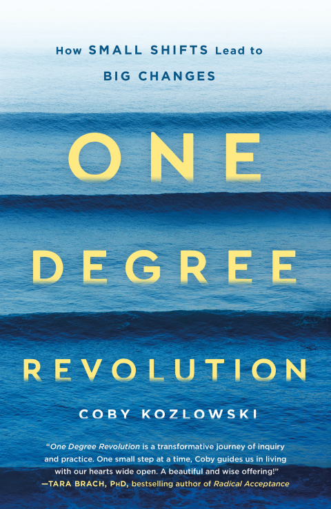 Cover image for book One Degree Revolution