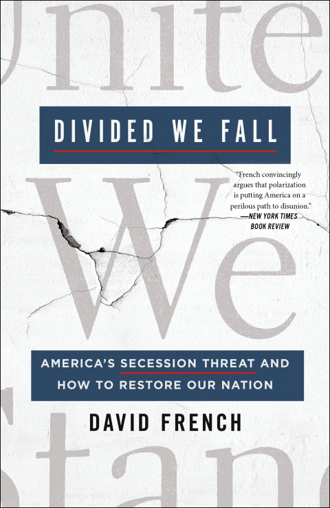 Cover image for book Divided We Fall