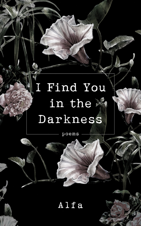 Cover image for book I Find You in the Darkness