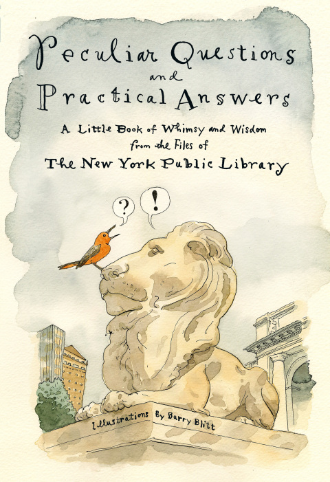Cover image for book Peculiar Questions and Practical Answers