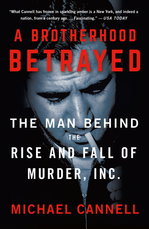 Cover image for book A Brotherhood Betrayed