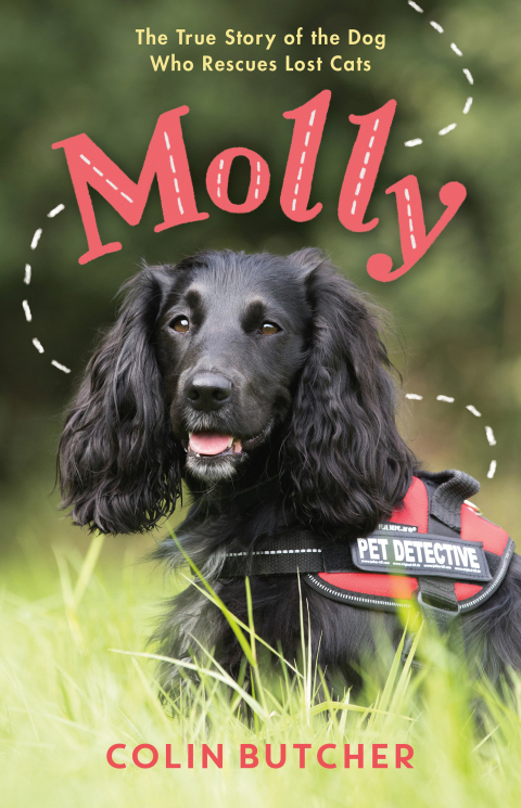 Cover image for book Molly: The True Story of the Dog Who Rescues Lost Cats