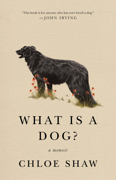 Cover image for book What Is a Dog?