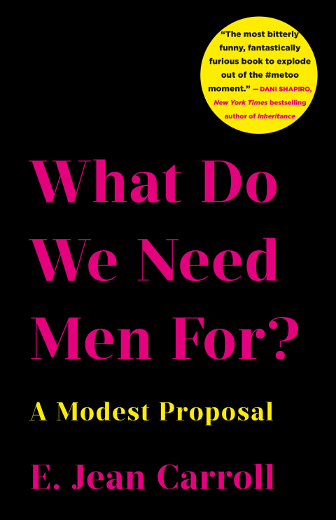 Cover image for book What Do We Need Men For?