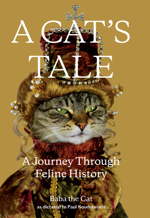 Cover image for book A Cat's Tale