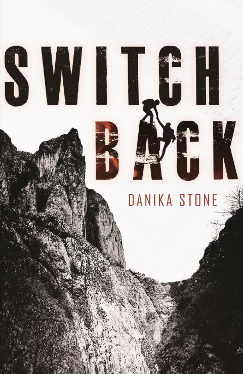 Cover image for book Switchback