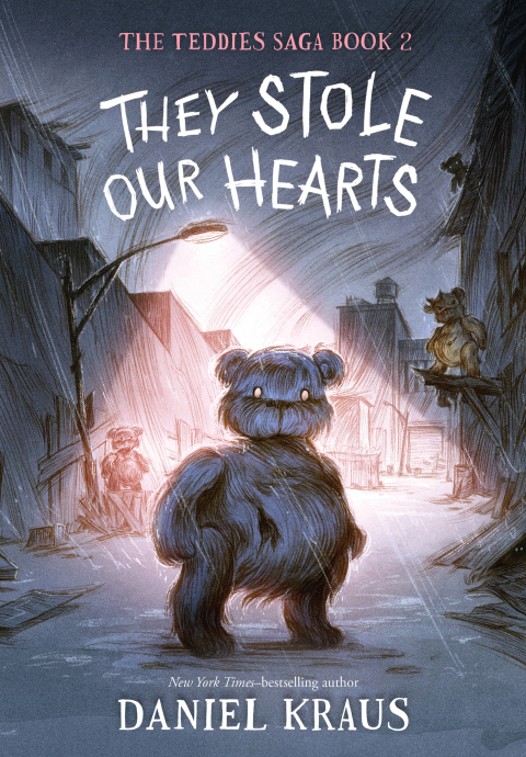 Cover image for book They Stole Our Hearts