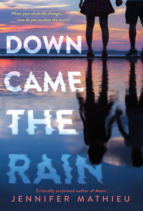 Cover image for book Down Came the Rain