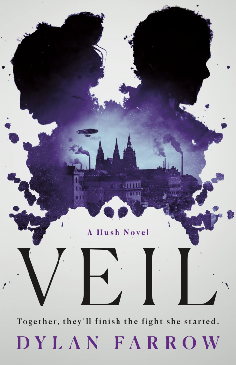 Cover image for book Veil