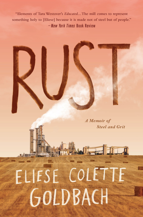 Cover image for book Rust