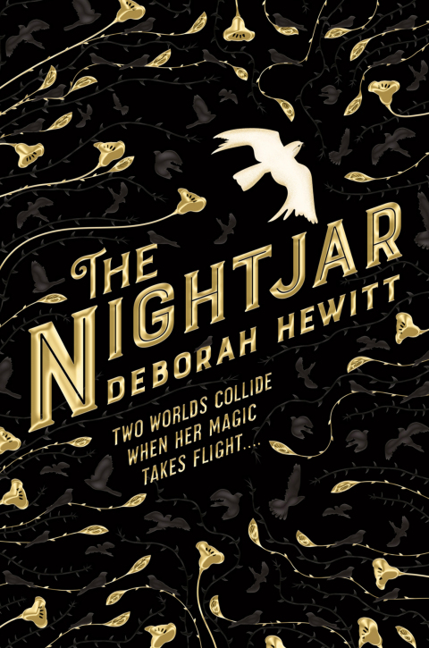 Cover image for book The Nightjar