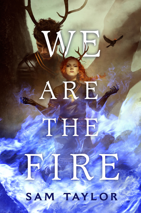 Cover image for book We Are the Fire