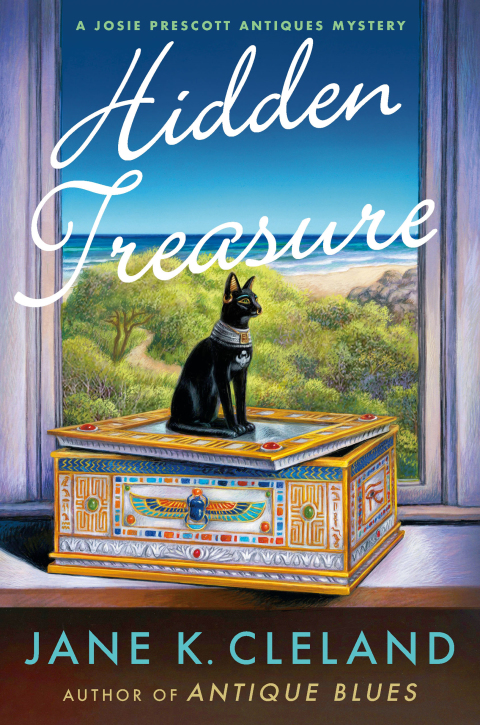 Cover image for book Hidden Treasure