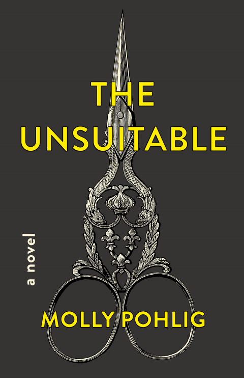 Cover image for book The Unsuitable