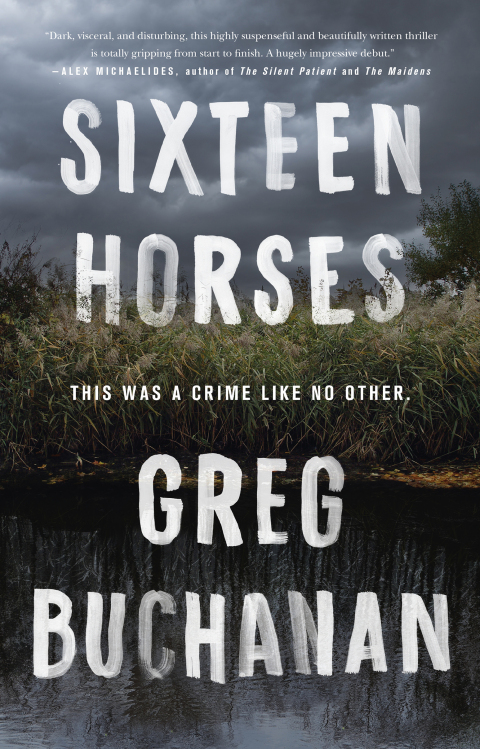 Cover image for book Sixteen Horses