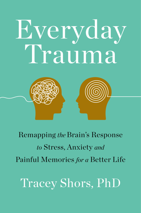 Cover image for book Everyday Trauma