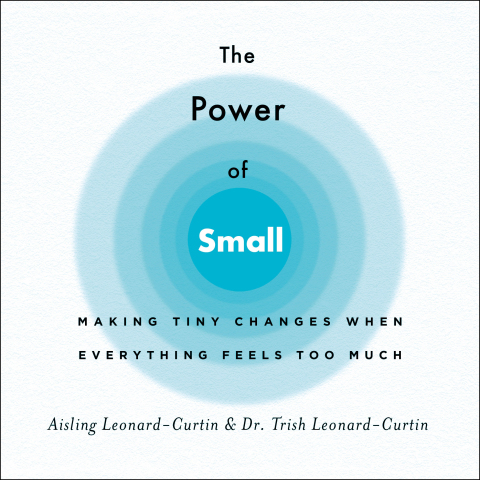 Cover image for book The Power of Small