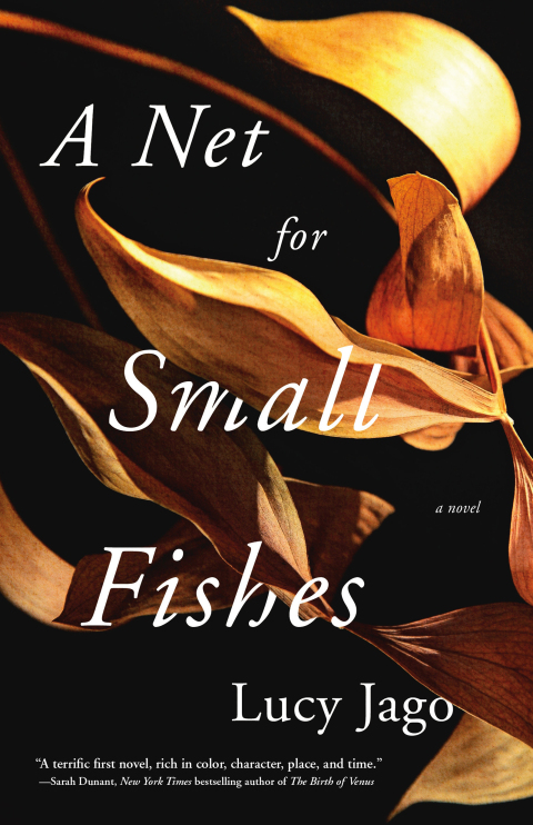 Cover image for book A Net for Small Fishes