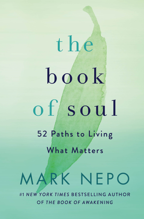 Cover image for book The Book of Soul