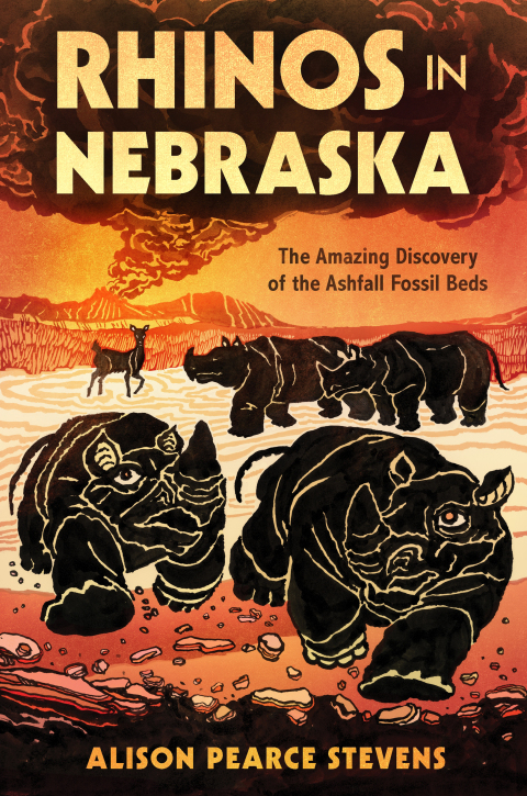 Cover image for book Rhinos in Nebraska