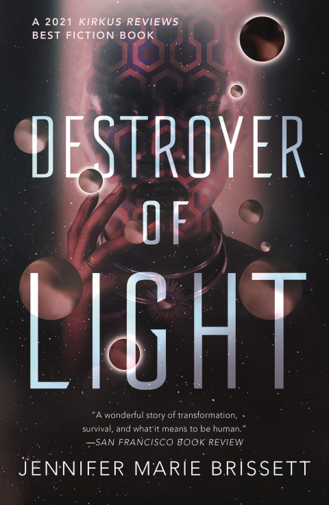 Cover image for book Destroyer of Light