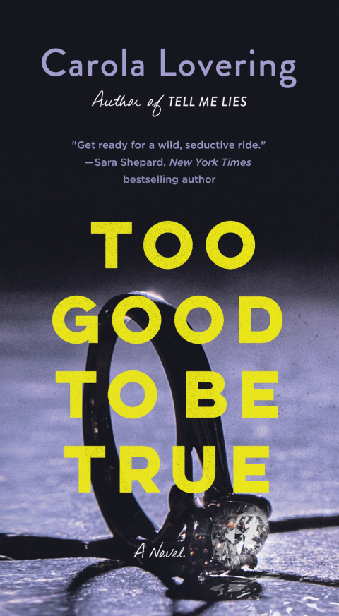 Cover image for book Too Good to Be True