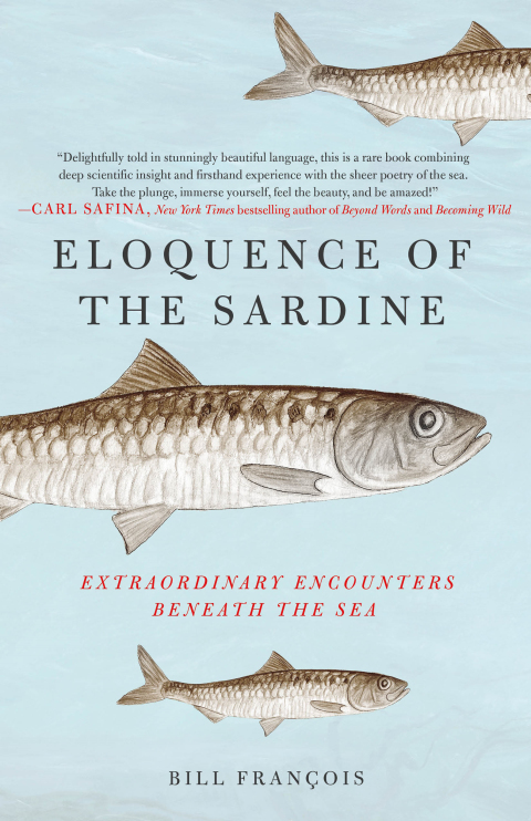 Cover image for book Eloquence of the Sardine