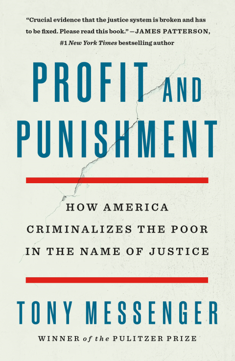 Cover image for book Profit and Punishment