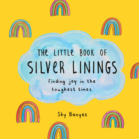 Cover image for book The Little Book of Silver Linings