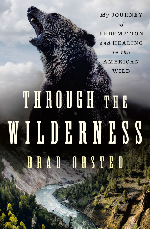 Cover image for book Through the Wilderness