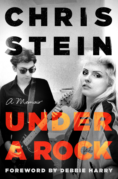 Cover image for book Under a Rock