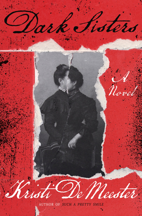 Cover image for book Dark Sisters