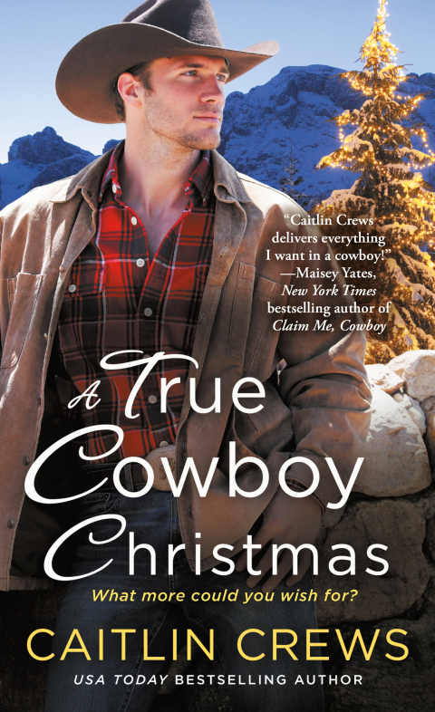Cover image for book A True Cowboy Christmas
