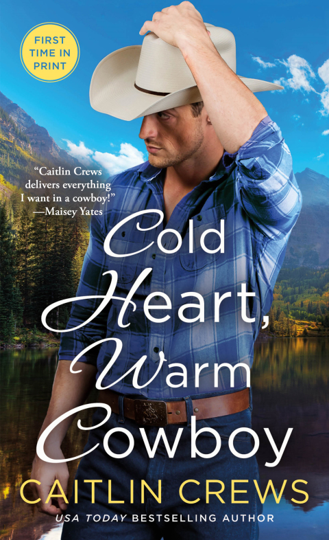 Cover image for book Cold Heart, Warm Cowboy